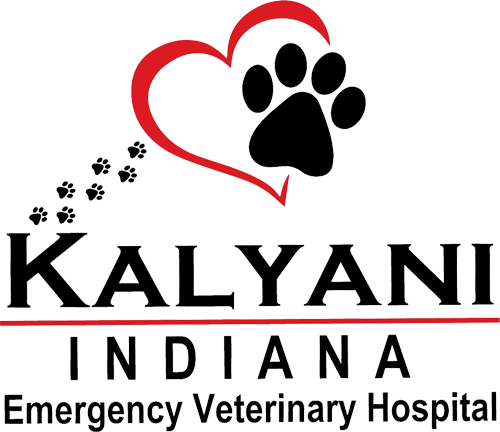 Kalyani Indiana Emergency Veterinary Hospital logo